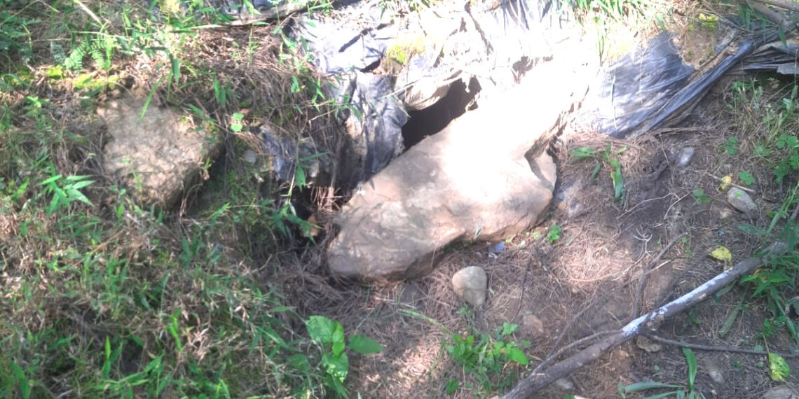 Security forces bust terrorist hideout in Tral, Pulwama
