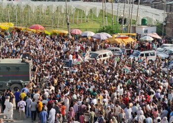 AIP founder Er. Rashid leads mega roadshow in Tral