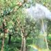 Damaged irrigation canal causes hardship to Vessu orchardists, Admin silent