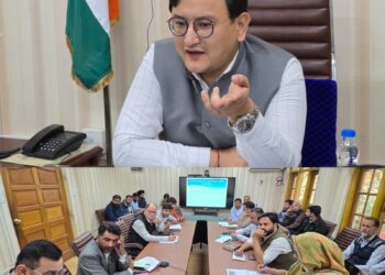 DDC B’la chairs DLIC meeting, reviews implementation of PM-Vishwakarma scheme