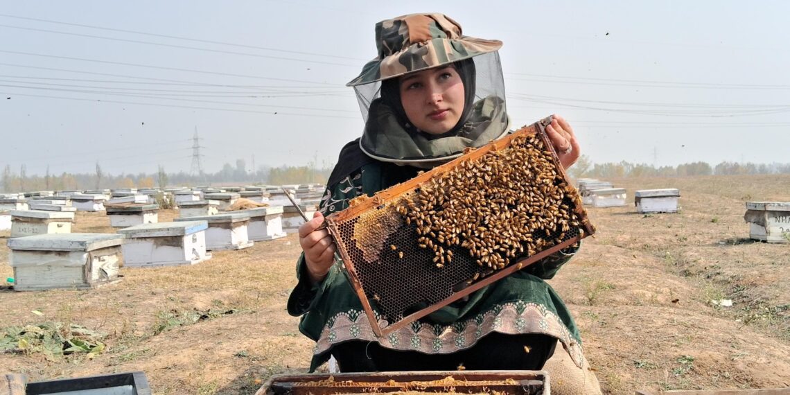 Sania Zehra from Srinagar Revives Family Legacy with Bee-Keeping Unit