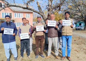 Class IV Employees Protest Over Withheld Salaries in Kangan’s Power Development Corporation