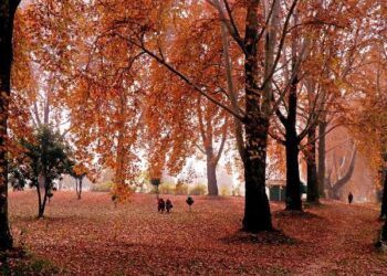 Kashmir in Autumn: A Golden Paradise