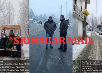 R&B Ganderbal Achieves 90% Snow Clearance: Executive Engineer Tatheer Manzoor