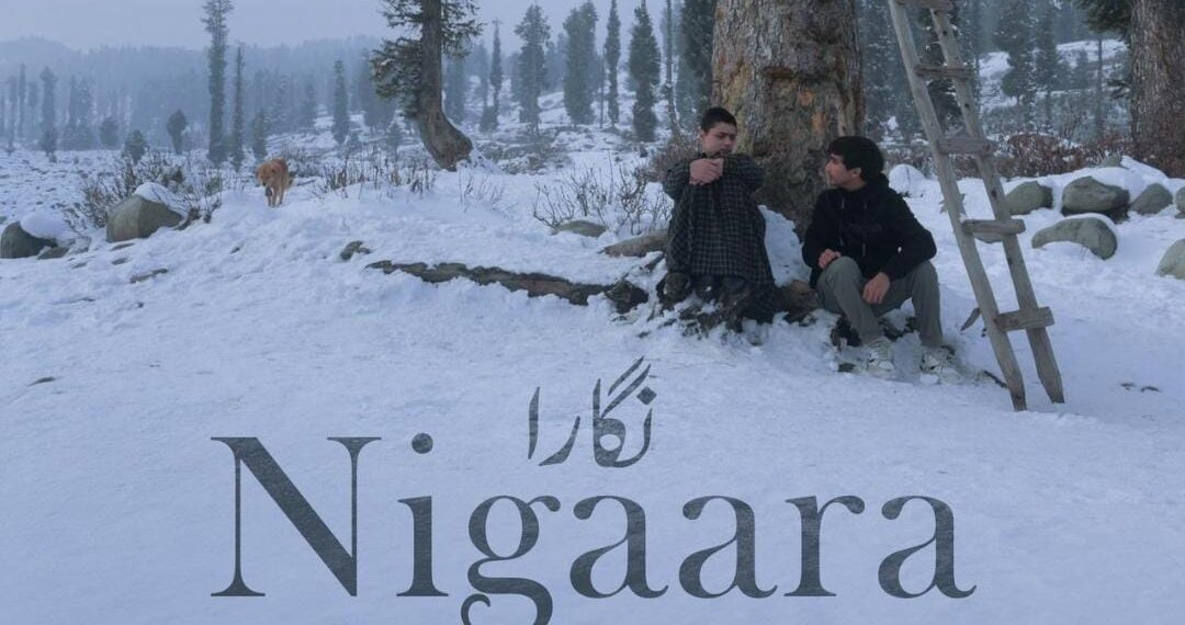 Ayaan Sajad’s “Nigaara” Takes the Spotlight: A Masterpiece by Rawaan Originals