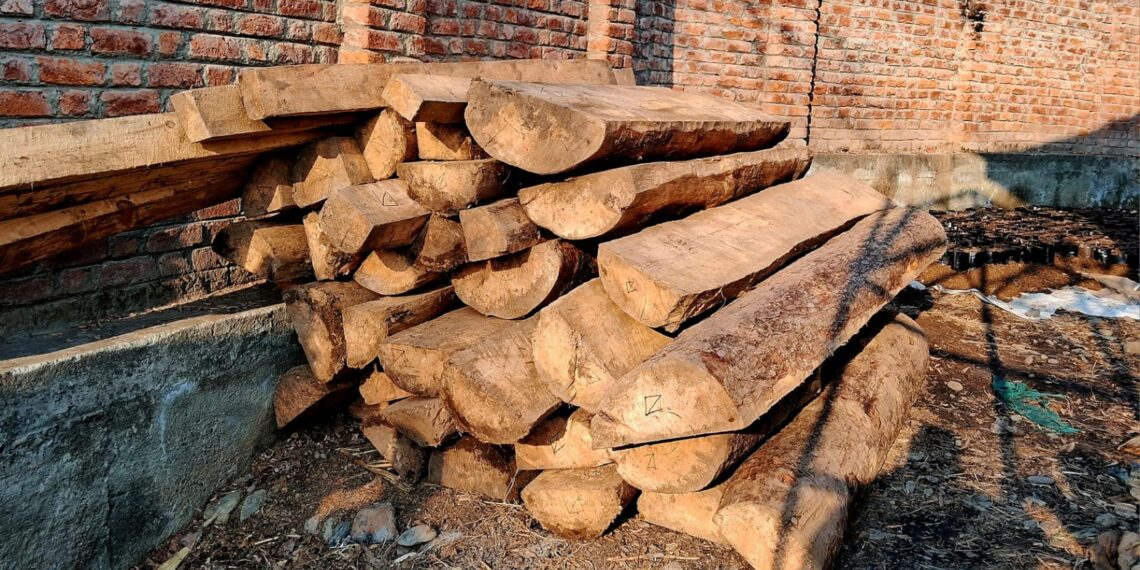 Illicit Timber Recovered in Hajan Satoora Tral