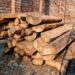 Illicit Timber Recovered in Hajan Satoora Tral