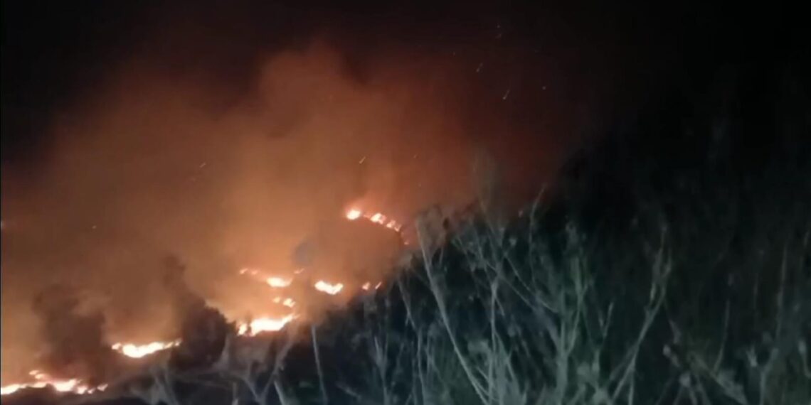Massive Fire Engulfs Cherwan Forest in Kangan Ganderbal