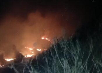 Massive Fire Engulfs Cherwan Forest in Kangan Ganderbal