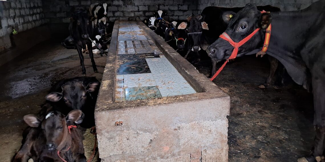 Locals in Lurgam Tral Demand Veterinary Doctor Amid Growing Hardships