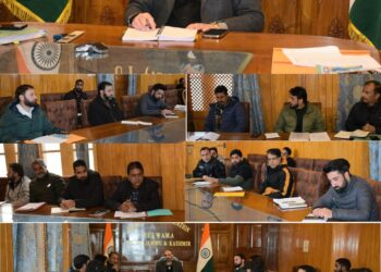 DC Pulwama chairs District Skill Committee Meeting