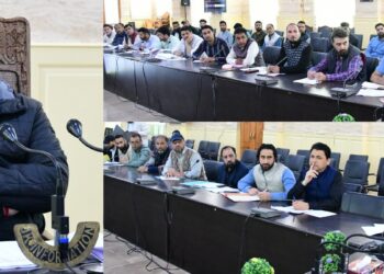DC Ganderbal reviews functioning of Revenue Department