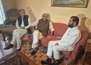 Dy CM, Advisor to CM meet Maharashtra Dy CM