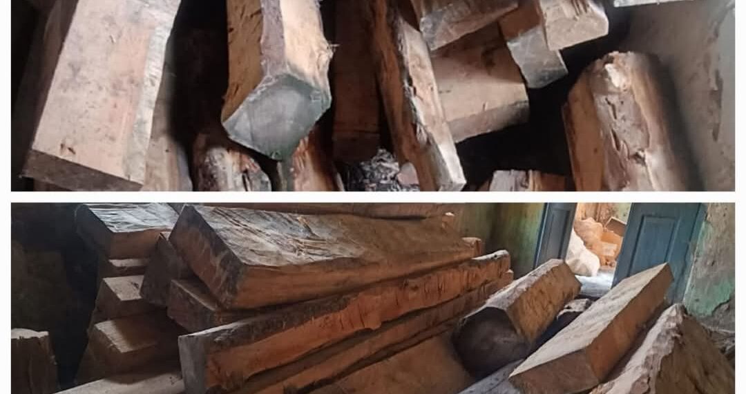 Police seize illicit timber in Handwara