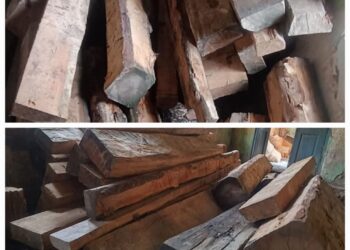 Police seize illicit timber in Handwara