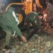 Inclement Weather: Police provides helping hand to the needy in Kulgam