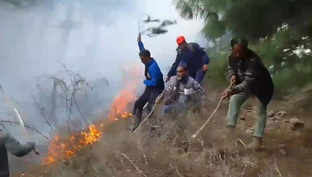 Forest Fire Erupts in Awoora Woods, Forest Department Races to Douse Flames