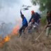 Forest Fire Erupts in Awoora Woods, Forest Department Races to Douse Flames