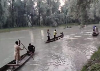 Tragic Accident: Forest Guard Disappears in Nallah Sindh