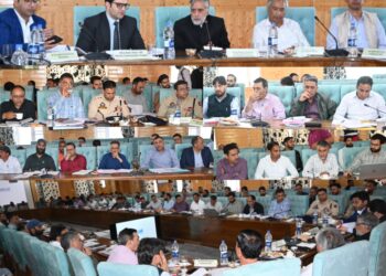 MP Mian Altaf chairs DISHA meeting at Kulgam