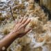 Tragedy in Ganderbal: Woman Drowns in Power Canal, Rescue Operation Ongoing