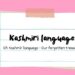 The Importance of Preserving the Kashmiri Language in Modern Times