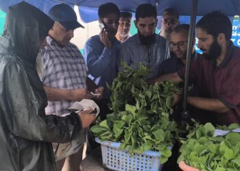 Director Agri. launches vegetable seedling distribution drive at Kitchen Garden Lalmandi Srinagar