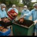 Over 150 Kgs of Rotten Meat Seized in Ganderbal and Kangan During Food Safety Drive