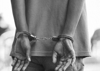Ganderbal Police Arrest Two for Brutal Killing of Stray Dog in Safapora