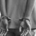 Ganderbal Police Arrest Two for Brutal Killing of Stray Dog in Safapora