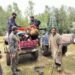 Awantipora Police Conducts Rescue Operation in Flood-Prone Areas of Police District Awantipora