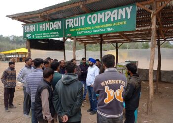 Apni Party Leader and DDC Member Tral Meets Nowdal Fruit Mandi Representatives, Seeks Urgent Intervention for Land Transfer