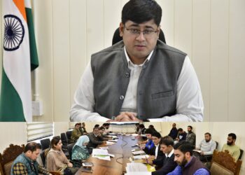 DC Ganderbal reviews implementation of HADP, JKCIP & KKGs