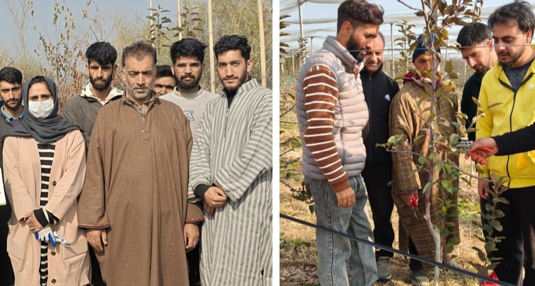 Qul Fruits Empowers J&K Farmers with 152 Pruning Workshops