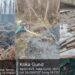 Illegal Sand Mining Surges in Kurag Tulmulla, Turning Area Into Extraction Hotspot