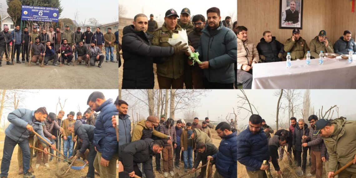 MRCS&G and GPA Join Hands to Promote Green Cover and Sustainable Fodder Resources