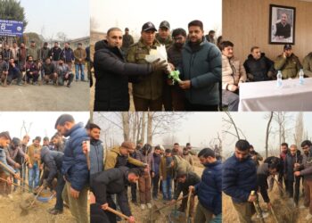 MRCS&G and GPA Join Hands to Promote Green Cover and Sustainable Fodder Resources