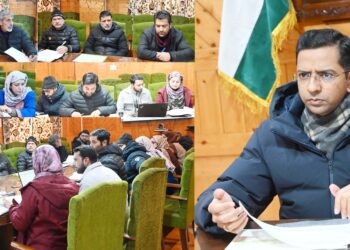 DC Shopian reviews NRLM performance in district
