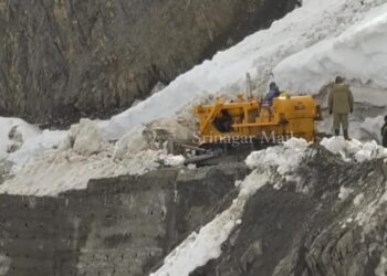 7 Dead, 5 Injured as Avalanche Hits Vehicle at Zojila Pass