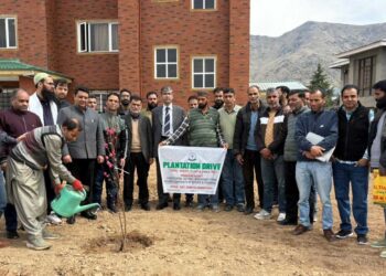 IUST Launches Plantation Week with Campus-wide Green Drive