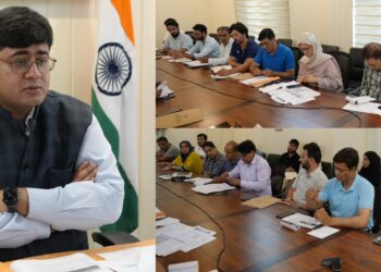 DC Ganderbal Reviews Progress under HADP, JKCIP; District Level Committee Approves 387 Applications