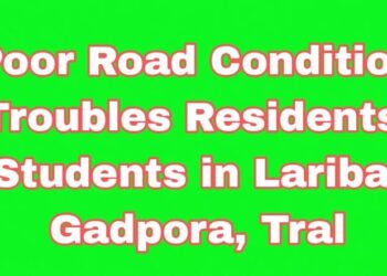 Poor Road Condition Troubles Residents, Students in Laribal Gadpora, Tral