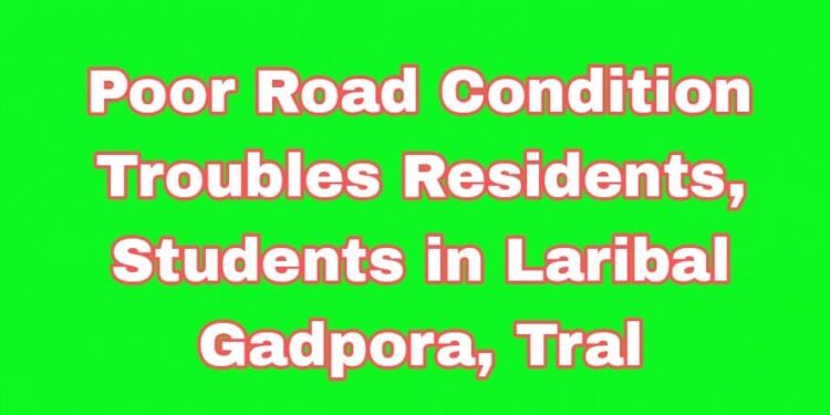 Poor Road Condition Troubles Residents, Students in Laribal Gadpora, Tral