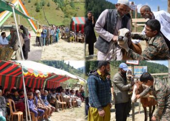 Army Holds Veterinary Camp to Support Livestock and Border Communities in Machil