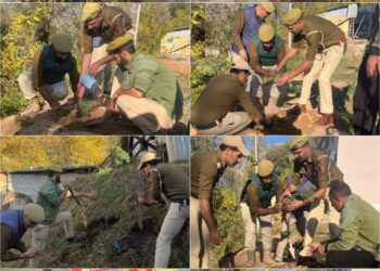 J&K Police organises District-Wide Ekta Diwas Plantation drive in Ganderbal